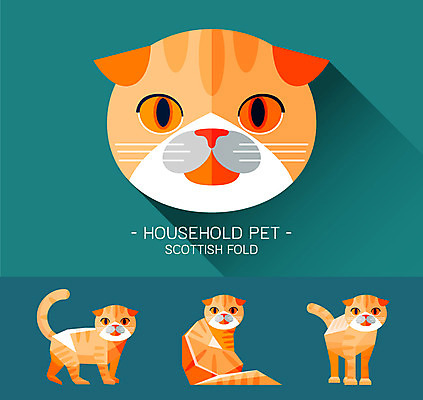 동물 캐릭터 얼굴 동물캐릭터 일러스트 사람없음 반려동물 고양이 플랫 고양이캐릭터 스코티시폴드 일러캐릭터 AI파일 포유류 신체부위 파일형식 벡터