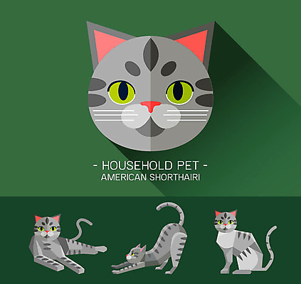 동물 캐릭터 얼굴 동물캐릭터 일러스트 사람없음 반려동물 고양이 플랫 고양이캐릭터 아메리칸숏헤어 일러캐릭터 AI파일 포유류 신체부위 파일형식 벡터