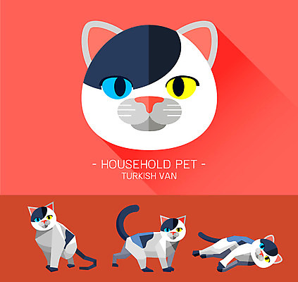 동물 캐릭터 얼굴 동물캐릭터 일러스트 사람없음 반려동물 고양이 플랫 고양이캐릭터 터키시반 일러캐릭터 AI파일 포유류 신체부위 파일형식 벡터