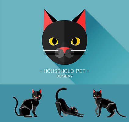동물 캐릭터 얼굴 동물캐릭터 일러스트 사람없음 반려동물 고양이 플랫 고양이캐릭터 봄베이 일러캐릭터 AI파일 포유류 신체부위 파일형식 벡터