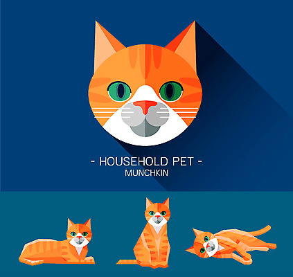 동물 캐릭터 얼굴 동물캐릭터 일러스트 사람없음 반려동물 고양이 플랫 고양이캐릭터 먼치킨 일러캐릭터 AI파일 포유류 신체부위 파일형식 벡터