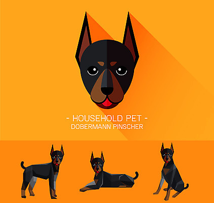 동물 캐릭터 얼굴 동물캐릭터 일러스트 사람없음 반려동물 플랫 강아지 개캐릭터 도베르만핀셔 일러캐릭터 AI파일 신체부위 개 파일형식 벡터 핀셔
