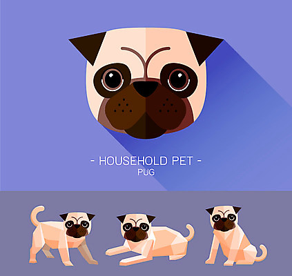 동물 캐릭터 얼굴 동물캐릭터 일러스트 사람없음 반려동물 플랫 개 강아지 개캐릭터 퍼그 일러캐릭터 AI파일 포유류 신체부위 파일형식 벡터