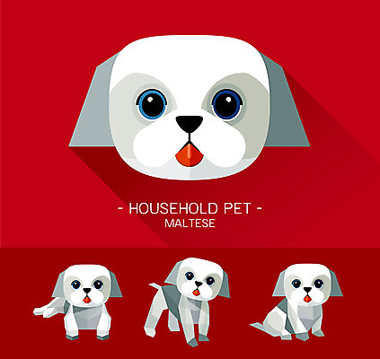 동물 캐릭터 얼굴 동물캐릭터 일러스트 사람없음 반려동물 플랫 말티즈 개 강아지 개캐릭터 일러캐릭터 AI파일 포유류 신체부위 파일형식 벡터