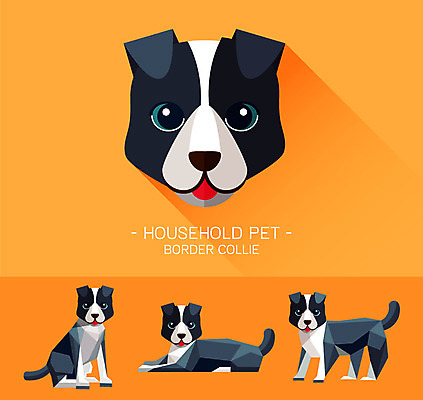 동물 캐릭터 얼굴 동물캐릭터 일러스트 사람없음 반려동물 플랫 개 강아지 개캐릭터 보더콜리 콜리 일러캐릭터 AI파일 포유류 신체부위 파일형식 벡터