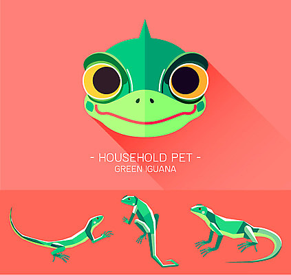 동물 캐릭터 얼굴 동물캐릭터 일러스트 파충류 사람없음 플랫 이구아나 일러캐릭터 AI파일 신체부위 파일형식 벡터