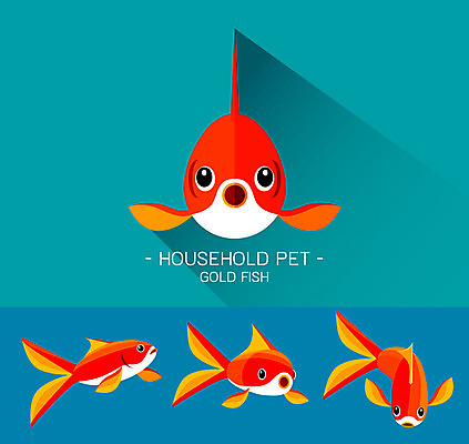 동물 캐릭터 얼굴 동물캐릭터 일러스트 사람없음 플랫 열대어 금붕어 어류캐릭터 일러캐릭터 AI파일 어류 신체부위 파일형식 벡터