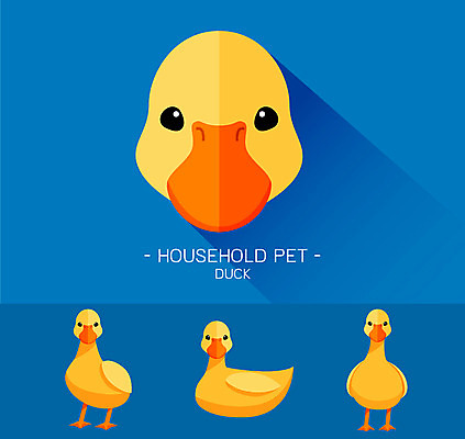 동물 캐릭터 얼굴 동물캐릭터 일러스트 오리 사람없음 플랫 일러캐릭터 AI파일 조류 신체부위 파일형식 벡터