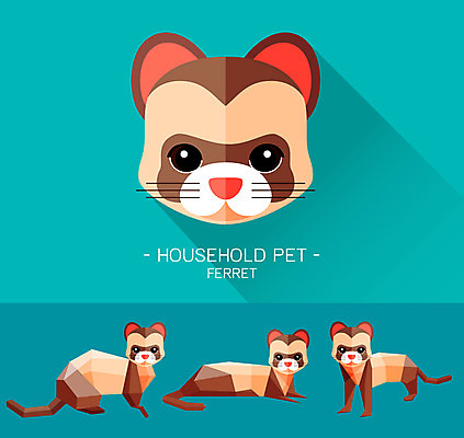 동물 캐릭터 얼굴 동물캐릭터 일러스트 포유류 사람없음 플랫 페럿 일러캐릭터 AI파일 신체부위 파일형식 벡터