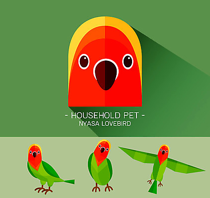 동물 캐릭터 얼굴 동물캐릭터 일러스트 사람없음 플랫 새캐릭터 앵무새 모란앵무 일러캐릭터 AI파일 조류 신체부위 파일형식 벡터