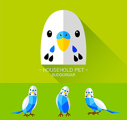 동물 캐릭터 얼굴 동물캐릭터 일러스트 사람없음 플랫 새캐릭터 앵무새 잉꼬 일러캐릭터 AI파일 조류 신체부위 파일형식 벡터