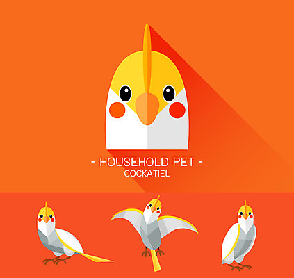 동물 캐릭터 얼굴 동물캐릭터 일러스트 사람없음 플랫 새캐릭터 앵무새 왕관앵무새 일러캐릭터 AI파일 조류 신체부위 파일형식 벡터