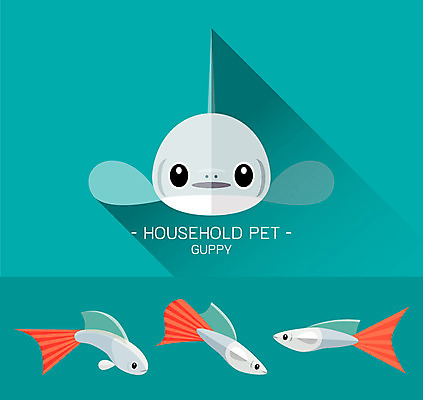 동물 캐릭터 얼굴 동물캐릭터 일러스트 사람없음 플랫 열대어 어류캐릭터 구피 일러캐릭터 AI파일 어류 신체부위 민물고기 파일형식 벡터