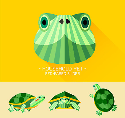 동물 캐릭터 얼굴 동물캐릭터 일러스트 사람없음 플랫 거북이 자라 일러캐릭터 AI파일 파충류 신체부위 파일형식 벡터