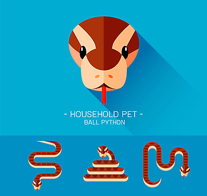 동물 캐릭터 얼굴 동물캐릭터 일러스트 파충류 사람없음 뱀 플랫 뱀캐릭터 구렁이 일러캐릭터 AI파일 신체부위 파일형식 벡터