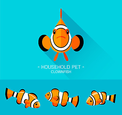 동물 캐릭터 얼굴 동물캐릭터 일러스트 사람없음 플랫 열대어 어류캐릭터 크라운피쉬 일러캐릭터 AI파일 어류 신체부위 파일형식 벡터