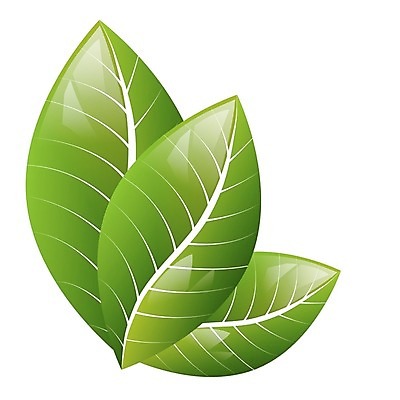 EPS 해외이미지 식물 디자인 계절 백그라운드 잎 꽃무늬 일러스트 자연 추상 미술 그래픽 장식 초록색 여름 빛 환경 스파 봄 흰색 신선 심볼 에코 유기농 내추럴 고립 생태학 엘리먼트 해외202004 해외일러스트 웰빙 교육 꽃 컬러 무늬 문화예술 생태계 파일형식 벡터 이미지허브
