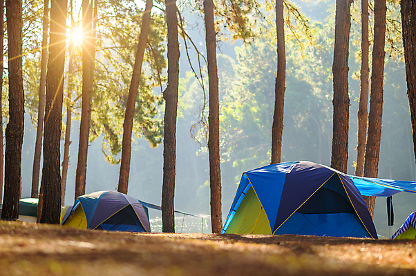 포토 JPG 해외이미지 나무 호수 여행 백그라운드 배낭 가족 태국 자연 하늘 아침 휴가 산 따뜻함 텐트 풍경 사람없음 야외 여름 강 햇빛 태양 일출 환경 일몰 캠핑 하이킹 가을 소나무 숲 백패커 해외202004 해외포토 주간 자연요소 식물 계절 아시아 가방 관계 레저 캠핑도구 노을 생태계 파일형식 이미지허브
