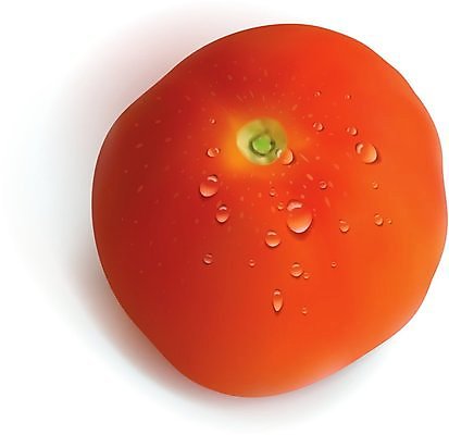 EPS 해외이미지 1 음식 백그라운드 농업 다이어트 토마토 채소 일러스트 재료 자연 건강 빨간색 빛 샐러드 성장 흰색 물방울 신선 원형 시장 맛 자르기 먹기 오브젝트 싱글 상쾌 유기농 원예 질감 생물학 날것 광택 고립 숙성 채식주의자 비건 해외202004 해외일러스트 도형 웰빙 교육 감정 산업 컬러 컨셉 모션 취미 생태계 채식 파일형식 벡터 이미지허브