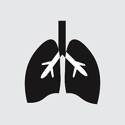 EPS 해외이미지 모양 템플릿 디자인 배너 교육 실루엣 과학 백그라운드 일러스트 해부 세포 흡연 건강 병원 현미경 가면 사람 그래픽 약 흐름 인공위성 환자 열 발표 오르간 호흡기관 호흡 질병 흉부 땅 심볼 예방 생물학 감염 시스템 암 알레르기 궤 돌봄 심각 엘리먼트 인플루엔자 주목 천식 해로움 해외202004 해외일러스트 컨셉 통신 의학 모션 담배 촬영기법 실험기구 장기_의학 건반악기 바이러스 파일형식 벡터 이미지허브