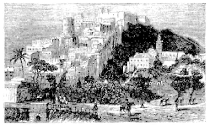 EPS 해외이미지 나무 여행 일러스트 아프리카 거리 주택 파노라마 손바닥 미술 건물 도시풍경 검은색 수확 골동품 흰색 도시 역사 인쇄 지중해 그림 장면 타운 판화 아랍어 알제리 옛날 해외202004 해외일러스트 식물 건축물 손 나라 바다 컬러 농업 문화예술 촬영기법 풍경 파일형식 벡터 이미지허브