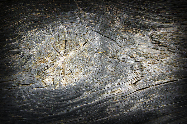 포토 JPG 해외이미지 나무 식물 디자인 벽 백그라운드 패턴 자연 표면 추상 바닥 사람없음 목재 갈색 어둠 줄무늬 수확 골동품 판넬 주름 닫기 널 낟알 묘사 질감 복고 매듭 목공예 결 잡동사니 내추럴 그런지 수목 엘리먼트 옛날 합판 해외202004 해외포토 컬러 무늬 농업 재료 모션 공예 생태계 파일형식 이미지허브