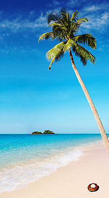 포토 JPG 해외이미지 나무 구름 모래 바다 섬 여행 하늘색 컨셉 태국 자연 하늘 휴가 손바닥 풍경 사람없음 물 여름 파란색 맑음 침묵 산호 휴양지 코코넛 이국적 터키석 파라다이스 포상금 수평선 해외202004 해외포토 자연요소 식물 손 계절 아시아 컬러 돈 과일 날씨 소리 장소 자포동물 보석 생태계 파일형식 이미지허브
