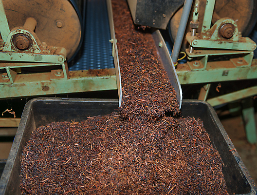 포토 JPG 해외이미지 식물 산업 아시아 선 음식 잎 밭 농업 공장 실내 동양인 사람없음 건물 농작물 농장 기계 벨트 시골 신선 업무 작업 재산 제조 상품 유기농 리프트 모음 멀리 동쪽 방법 분류 옛날 채점 해외202004 해외포토 건축물 웰빙 잡화 나라 공업 인종 한글 내부 금융 방향 성적 파일형식 이미지허브