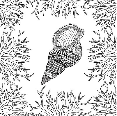 EPS 해외이미지 동물 손 디자인 바다 여행 백그라운드 패턴 일러스트 자연 추상 휴가 조개 미술 성인 장식 책 여름 검은색 수중 껍질 흰색 산호 수집 그림 윤곽 페이지 고립 해외202004 해외일러스트 계절 컬러 무늬 문화예술 어패류 사람 신체부위 자포동물 생태계 파일형식 벡터 이미지허브