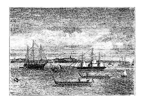 EPS 해외이미지 바다 섬 여행 일러스트 비즈니스 교통시설 새로움 항해 키위 미술 물 항구 검은색 수확 골동품 화물 흰색 도시 만 보트 인쇄 무역 그림 돛 함선 태평양 포트 판화 닻 옛날 해외202004 해외일러스트 자연요소 산업 컬러 교통 컨셉 농업 배_교통 과일 문화예술 운송업 시설 파일형식 벡터 이미지허브