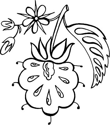 EPS 해외이미지 디자인 꽃 백그라운드 잎 일러스트 수채화 미술 사람없음 검은색 스케치 손그림 해외202004 해외일러스트 식물 컬러 문화예술 파일형식 벡터 이미지허브