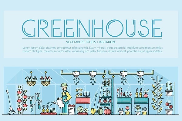 EPS 해외이미지 식물 꽃 음식 농업 토마토 과일 일러스트 자연 딸기 호박 가지 양파 오이 수박 건강 옥수수 농장 농경지 장미 환경 정원 당근 수확 성장 신선 물주기 에코 유기농 원예 완두콩 양배추 아스파라거스 산딸기 먼지 후추 내추럴 모종 밭일 비트 숙성 원예사 주거지 해외202004 해외일러스트 직업 웰빙 산업 채소 모션 콩 곡류 뿌리채소 취미 향신료 생태계 파일형식 벡터 이미지허브