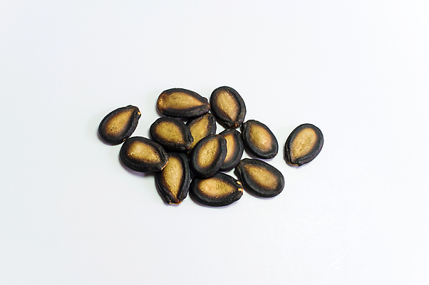 포토 JPG 해외이미지 모양 식물 라이프스타일 계절 음식 백그라운드 농업 다이어트 재료 자연 수박 건조 건강 요리 씨앗 사람없음 정원 검은색 코트 수확 성장 껍질 신선 작음 굽기 먹기 묘사 질감 알맹이 날것 고립 짠맛 해외202004 해외포토 산업 컬러 과일 모션 생활 외투 맛 크기 구이 생태계 파일형식 이미지허브