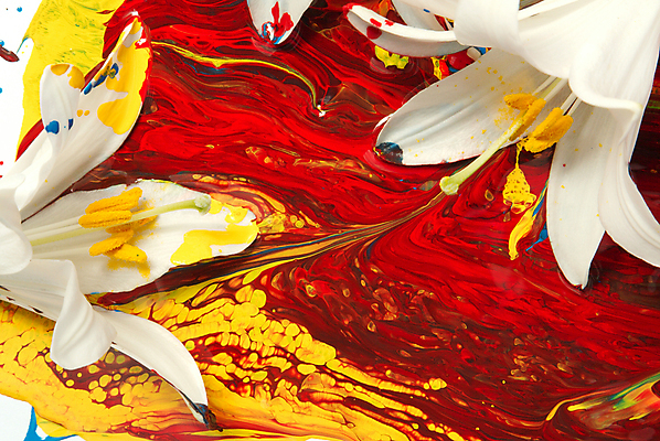 포토 JPG 해외이미지 모양 식물 디자인 교육 꽃잎 꽃 백그라운드 꽃무늬 패턴 추상 아이디어 창조 미술 사람없음 그래픽 장식 빨간색 머리 보라색 페인트 젖음 벚꽃 흰색 그리기 붓기 떨어짐 디자이너 순수 그림 심플 페인트붓 꽃가루 개성 꽃수술 해외202004 해외포토 직업 컬러 컨셉 무늬 모션 문화예술 신체부위 붓 가루 파일형식 이미지허브