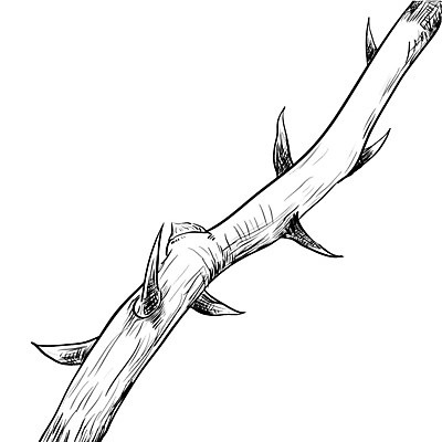 EPS 해외이미지 나무 식물 계절 공원 실루엣 줄기 백그라운드 컨셉 밭 일러스트 자연 목재 농장 장미 정원 검은색 고통 흰색 나뭇가지 가시 숲 스케치 심볼 오브젝트 그림 날카로움 신성 내추럴 고립 해외202004 해외일러스트 공공시설 꽃 감정 컬러 농업 재료 촬영기법 미술 생태계 파일형식 벡터 이미지허브