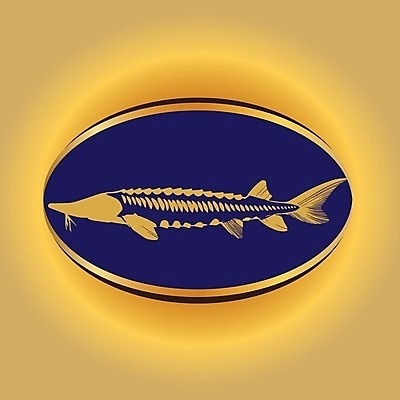 EPS 해외이미지 동물 템플릿 배너 실루엣 음식 바다 스티커 일러스트 자연 낚시 어류 요리 그래픽 빨간색 물 강 픽토그램 식당 검은색 식사 수확 신선 고급 맛 아침식사 인쇄 심볼 해산물 사인 연어 고립 송어 캐비아 해외202004 해외일러스트 자연요소 컬러 컨셉 농업 식재료 레저 촬영기법 상점 수중동물 생태계 파일형식 벡터 이미지허브