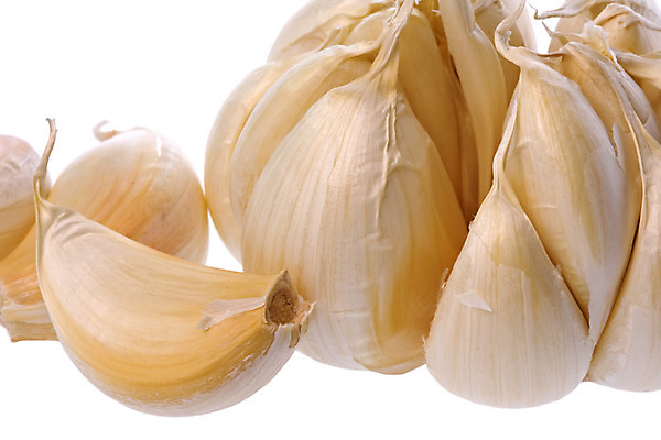 포토 JPG 해외이미지 음식 농업 다이어트 채소 재료 전구 자연 양파 건강 마늘 사람없음 초록색 흰색 신선 닫기 맛 작음 먹기 향신료 유기농 날것 내추럴 고립 식용 채식주의자 해외202004 해외포토 웰빙 산업 컬러 컨셉 모션 크기 생태계 채식 향미료 파일형식 이미지허브