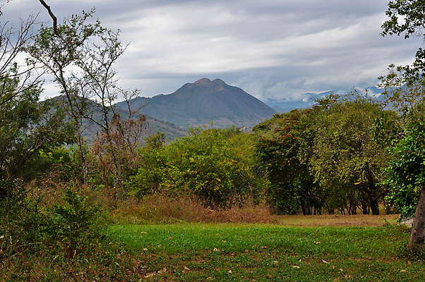 포토 JPG 해외이미지 주간 나무 식물 꽃 백그라운드 잎 자연 하늘 추상 열대 산 멕시코 풍경 사람없음 야외 초록색 여름 햇빛 정원 봄 습기 나뭇가지 숲 내추럴 파라다이스 카피스페이스 해외202004 해외포토 자연요소 계절 컬러 북아메리카 무늬 태양 공백 생태계 파일형식 이미지허브