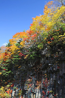 포토 JPG 해외이미지 나무 식물 계절 아시아 단풍 잎 자연 산 풍경 사람없음 야외 목재 강 컬러풀 노란색 일본 가을 개울 숲 수평선 해외202004 해외포토 나라 컬러 재료 생태계 파일형식 이미지허브