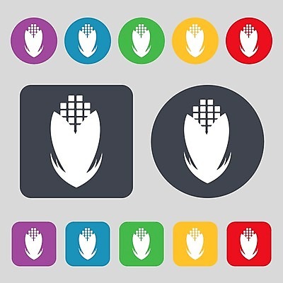 EPS 해외이미지 식물 디자인 음식 백그라운드 잎 2 꽃무늬 농업 다이어트 채소 일러스트 자연 건강 옥수수 미술 여름 식사 흰색 신선 황금 낟알 밀 먹기 심볼 사인 날것 팝콘 내추럴 고립 밭일 배급 숙성 채식주의자 팝 해외202004 해외일러스트 계절 꽃 산업 컬러 무늬 모션 문화예술 곡류 생태계 채식 파일형식 벡터 이미지허브