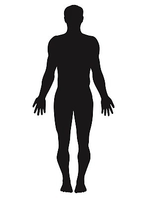 EPS 해외이미지 모델 템플릿 손 디자인 남자 실루엣 무기 과학 지도 신체 일러스트 해부 근육 건강 서기 사람 성인 그래픽 숫자 약 머리 유행 검은색 힘 흰색 오픈 누드 마네킹 윤곽 고립 고체 구성 스타일 해외202004 해외일러스트 문자 컬러 의학 모션 촬영기법 신체부위 파일형식 벡터 이미지허브