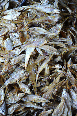 포토 JPG 해외이미지 동물 전통 접시 음식 바다 백그라운드 재료 자연 낚시 건조 건강 어류 요리 사람없음 여름 노란색 냉동 식사 죽음 신선 원형 맛 작음 먹기 해산물 피부 오브젝트 준비 눈금 꼬리 날것 냄새 지느러미 흙더미 점심식사 절임 줄서기 짠맛 많음 해외202004 해외포토 도형 식기 계절 컬러 컨셉 모션 레저 신체부위 수중동물 흙 크기 생태계 파일형식 더미 이미지허브