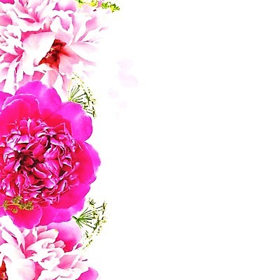 EPS 해외이미지 식물 디자인 꽃잎 꽃 분홍색 꽃다발 결혼 백그라운드 컨셉 잎 꽃무늬 일러스트 자연 프레임 발렌타인데이 선물 사랑 여름 봄 벚꽃 흰색 축하 신선 오픈 신용카드 오브젝트 질감 아로마 부드러움 고립 작약 스타일 해외202004 해외일러스트 계절 감정 컬러 무늬 데이이벤트 이벤트 금융 감각 생태계 파일형식 벡터 이미지허브