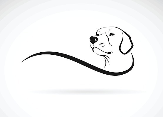 EPS 해외이미지 일러스트 사람없음 반려동물 검은색 흰색 개 강아지 래브라도리트리버 해외202004 해외일러스트 동물 컬러 포유류 리트리버 파일형식 벡터 이미지허브