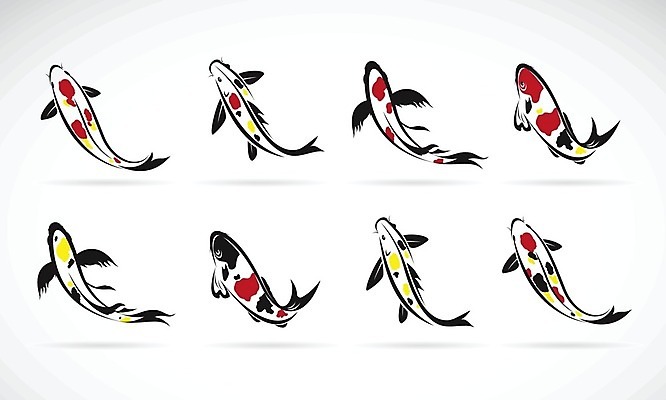 EPS 해외이미지 동물 전통 디자인 아시아 문화 호수 선 백그라운드 패턴 일러스트 자연 어류 미술 동양인 빨간색 물 반려동물 세트 컬러풀 노란색 일본 검은색 수영 중국 침묵 흐름 흰색 연못 점 황금 정상 문신 심볼 싱글 그림 금붕어 동쪽 잉어 고립 해외202004 해외일러스트 자연요소 나라 컬러 컨셉 무늬 문화예술 인종 수중동물 소리 수상스포츠 방향 생태계 파일형식 벡터 이미지허브