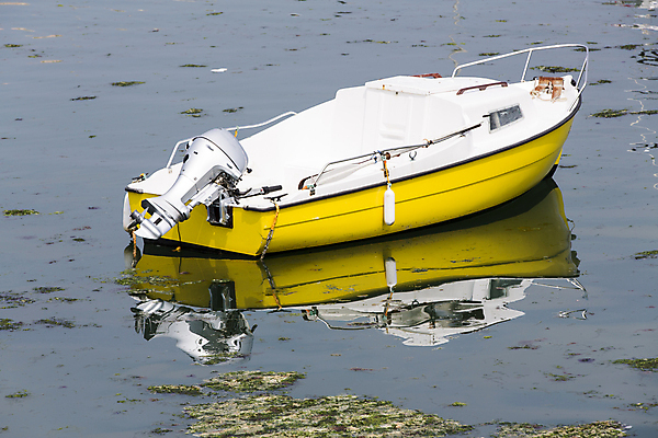 포토 JPG 해외이미지 유럽 바다 여행 교통시설 낚시 휴가 풍경 사람없음 야외 목재 물 여름 파란색 컬러풀 노란색 항구 검은색 수확 도시 만 보트 작음 나룻배 정박 복고 함선 낚시꾼 태평양 포트 타운 불가리아 소셜네트워크 옛날 필터 해외202004 해외포토 자연요소 나무 계절 나라 컬러 교통 농업 배_교통 재료 레저 크기 시설 파일형식 남유럽 이미지허브