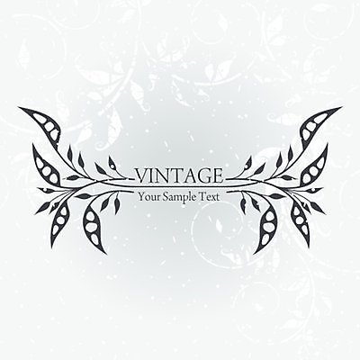 EPS 해외이미지 백그라운드 잎 일러스트 타이포그라피 사람없음 회색 빈티지 잎줄기 해외202004 해외일러스트 식물 문자 줄기 컬러 컨셉 파일형식 벡터 이미지허브