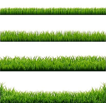 EPS 해외이미지 식물 디자인 백그라운드 잎 꽃무늬 밭 일러스트 자연 파노라마 잔디 목재 가로 초록색 여름 약 환경 봄 젖음 성장 흰색 시골 잡초 투명 칼날 큼 허브 그림 봉 길이 고립 모종 전국 해외202004 해외일러스트 나무 계절 꽃 컬러 무늬 농업 재료 의학 촬영기법 크기 생태계 파일형식 벡터 이미지허브