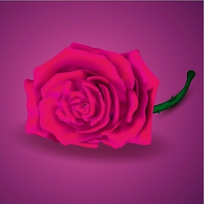 EPS 해외이미지 식물 기념일 꽃잎 꽃 줄기 분홍색 백그라운드 잎 꽃무늬 일러스트 자연 휴가 발렌타인데이 선물 사랑 초록색 여름 장미 노란색 꿈 장비 벚꽃 흰색 신선 가시 꽃집 오브젝트 싱글 고립 해외202004 해외일러스트 계절 감정 컬러 무늬 데이이벤트 이벤트 상점 생태계 파일형식 벡터 이미지허브