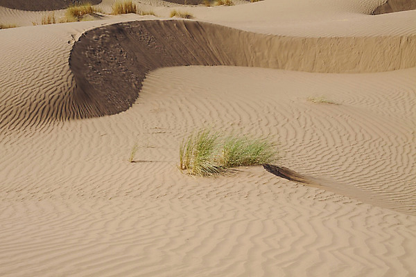 포토 JPG 해외이미지 구름 도로 모래 파도 여행 백그라운드 패턴 오렌지 아프리카 자연 하늘 건조 풍경 사람없음 야외 빨간색 여름 파란색 모래사장 햇빛 태양 일출 일몰 사막 뜨거움 모래언덕 사파리 언덕 질감 장면 모로코 사하라 아랍어 튀니지 수평선 해외202004 해외포토 자연요소 계절 나라 길 바다 컬러 무늬 과일 교통시설 노을 생태계 파일형식 이미지허브